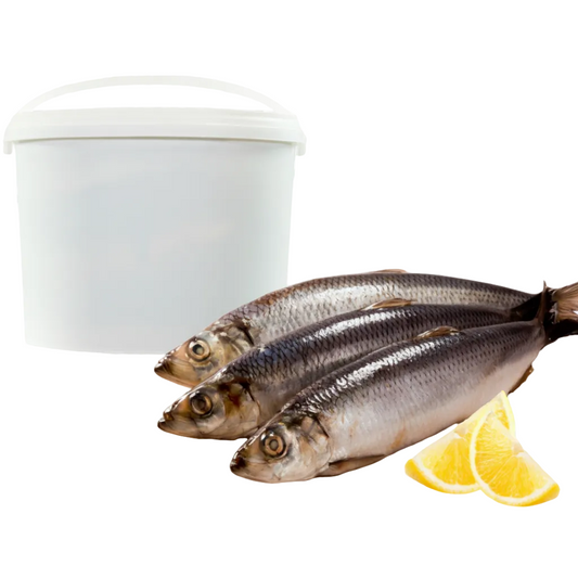 Leicht gesalzener Hering, 100 g (1 St. Ca. 300g 2-3€)