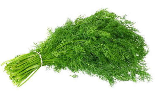 Dill